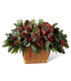 The Christmas Coziness  Basket