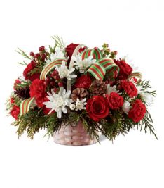 The Goodwill & Cheer Basket
