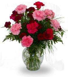 Carnation Vase