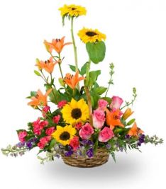 A Basket Of Mixed Garden Flowers