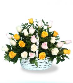Pretty Petals