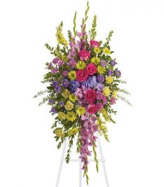 Bright And Beautiful Spray