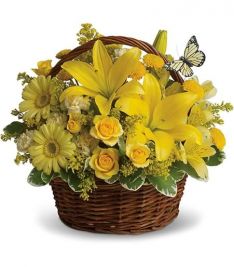 Basket Full Of Wishes